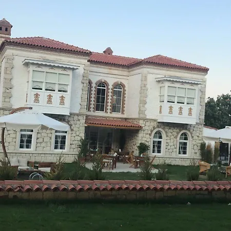 Monottoman